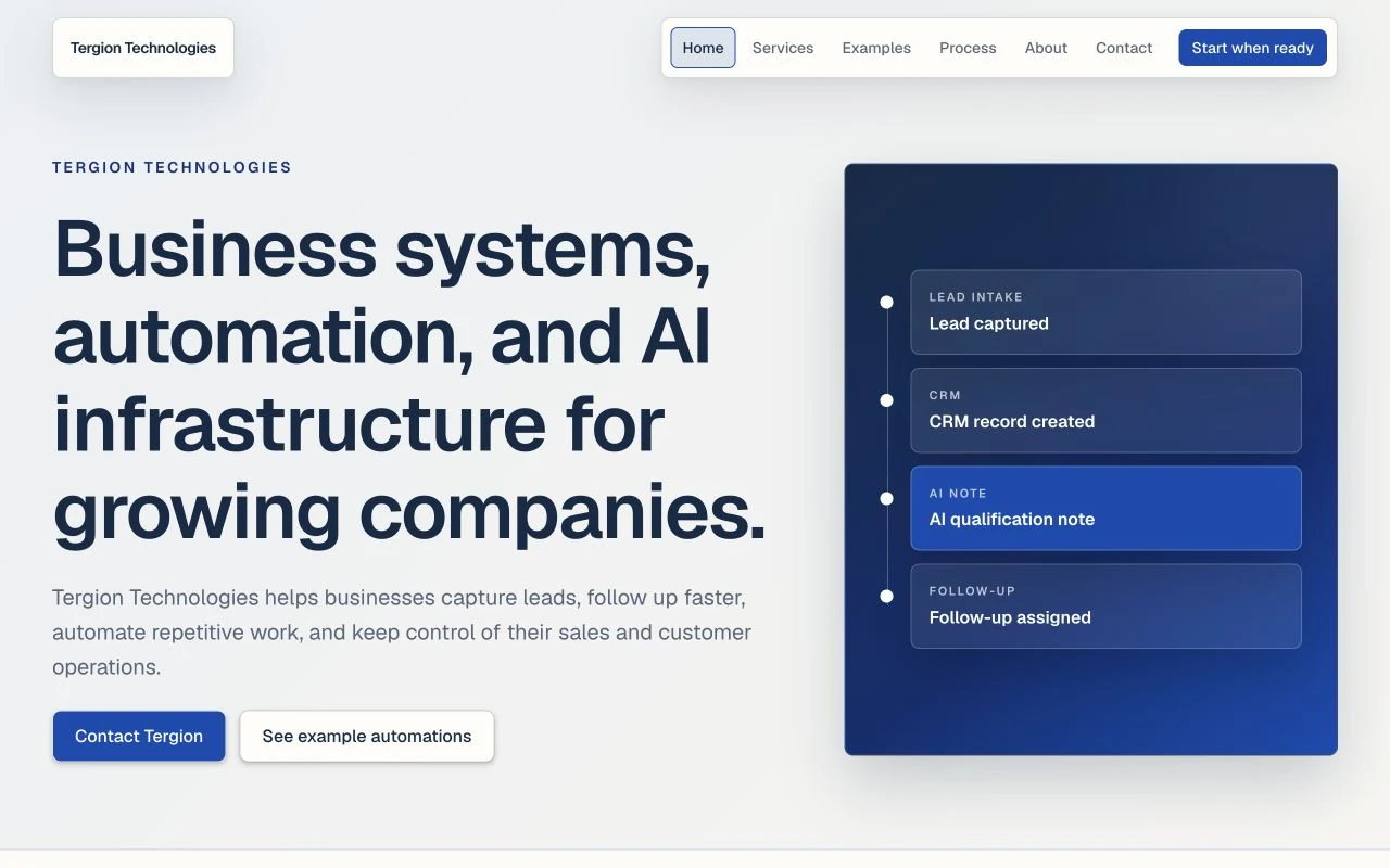Tergion Technologies homepage introducing business systems and an example lead-to-CRM workflow.